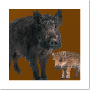 Wild Pigs Posters and Art